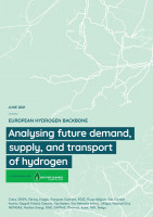 Analysing future demand, supply, and transport of hydrogen